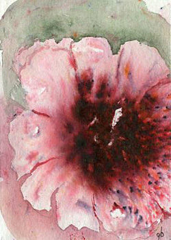Flower Pow(d)er Ginny Bores Madison WI watercolor & powder granules